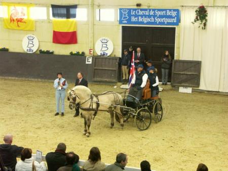 GESVES 2005